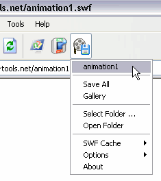 Flash Saving Plugin Screenshot